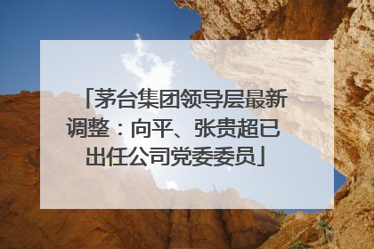 茅台集团领导层最新调整：向平、张贵超已出任公司党委委员