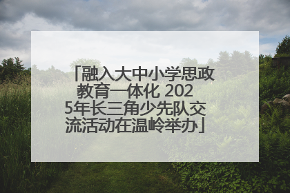 融入大中小学思政教育一体化 2025年长三角少先队交流活动在温岭举办