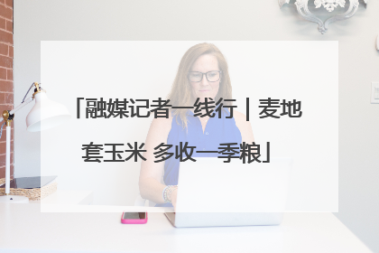 融媒记者一线行｜麦地套玉米 多收一季粮