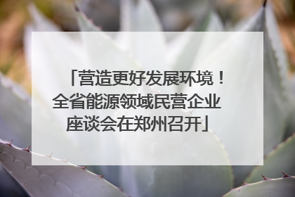 营造更好发展环境！全省能源领域民营企业座谈会在郑州召开