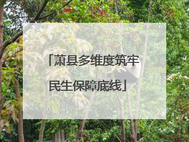 萧县多维度筑牢民生保障底线