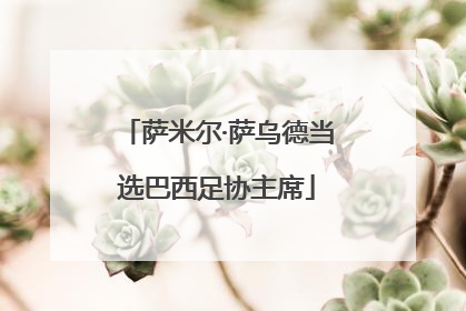 萨米尔·萨乌德当选巴西足协主席