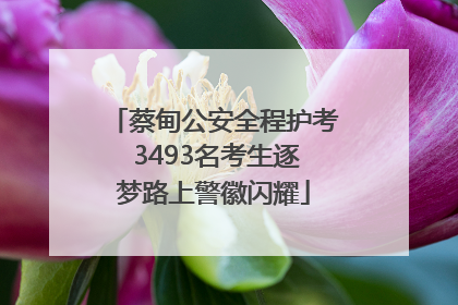 蔡甸公安全程护考 3493名考生逐梦路上警徽闪耀