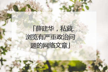 薛建华，私藏、浏览有严重政治问题的网络文章