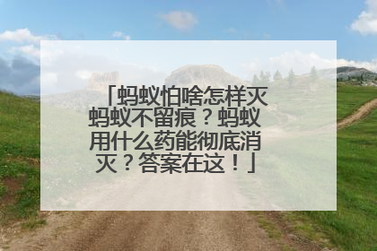 蚂蚁怕啥怎样灭蚂蚁不留痕？蚂蚁用什么药能彻底消灭？答案在这！