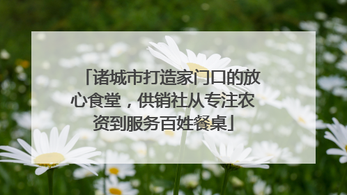 诸城市打造家门口的放心食堂，供销社从专注农资到服务百姓餐桌