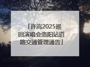 许嵩2025巡回演唱会洛阳站道路交通管理通告