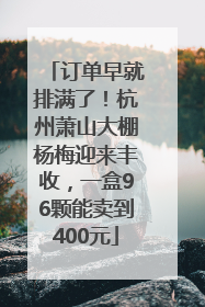 订单早就排满了！杭州萧山大棚杨梅迎来丰收，一盒96颗能卖到400元