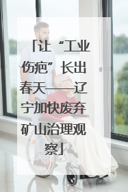 让“工业伤疤”长出春天——辽宁加快废弃矿山治理观察