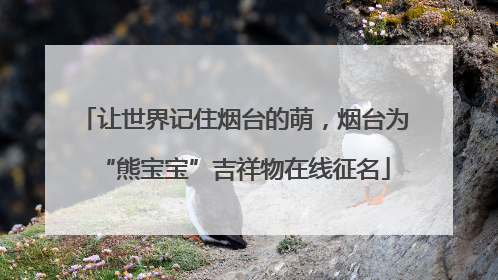 让世界记住烟台的萌，烟台为“熊宝宝”吉祥物在线征名