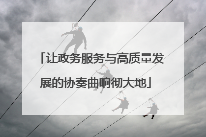 让政务服务与高质量发展的协奏曲响彻大地