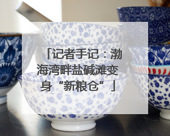 记者手记：渤海湾畔盐碱滩变身“新粮仓”
