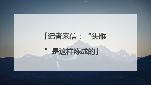 记者来信：“头雁”是这样炼成的