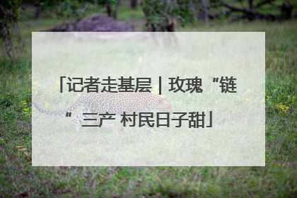 记者走基层｜玫瑰“链”三产 村民日子甜