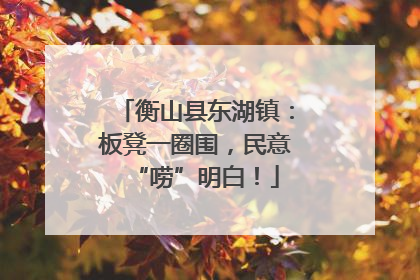 衡山县东湖镇：板凳一圈围，民意“唠”明白！