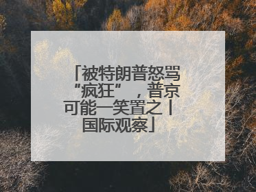 被特朗普怒骂“疯狂”，普京可能一笑置之丨国际观察