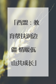 西盟：教育帮扶润边疆 情暖佤山共成长
