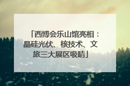 西博会乐山馆亮相：晶硅光伏、核技术、文旅三大展区吸睛