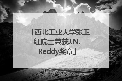 西北工业大学张卫红院士荣获J.N.Reddy奖章