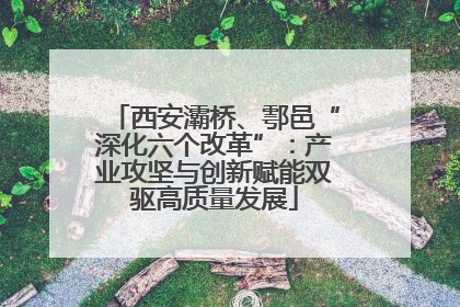 西安灞桥、鄠邑“深化六个改革”：产业攻坚与创新赋能双驱高质量发展