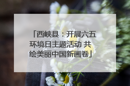 西峡县：开展六五环境日主题活动 共绘美丽中国新画卷