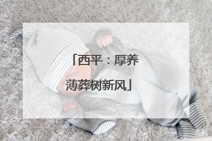 西平：厚养薄葬树新风
