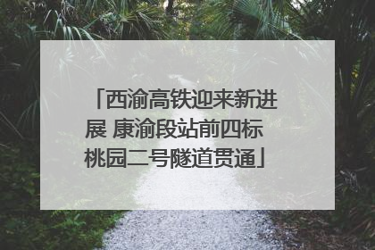 西渝高铁迎来新进展 康渝段站前四标桃园二号隧道贯通