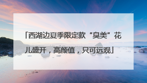 西湖边夏季限定款“臭美”花儿盛开，高颜值，只可远观