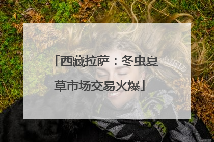 西藏拉萨：冬虫夏草市场交易火爆