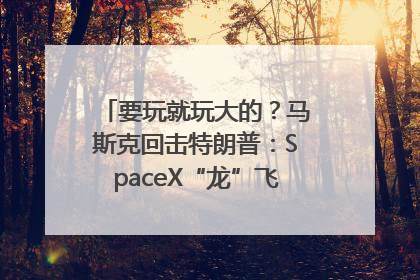 要玩就玩大的？马斯克回击特朗普：SpaceX“龙”飞船将立即退役！
