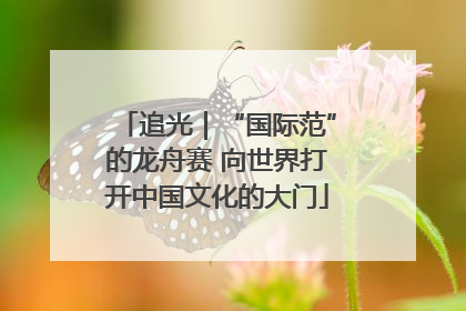 追光｜“国际范”的龙舟赛 向世界打开中国文化的大门