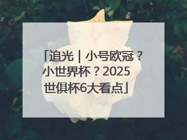 追光｜小号欧冠？小世界杯？2025世俱杯6大看点