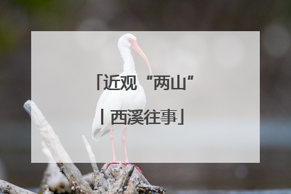 近观“两山”丨西溪往事