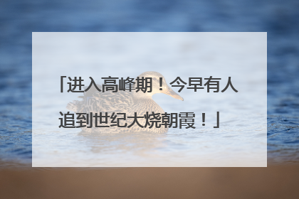 进入高峰期！今早有人追到世纪大烧朝霞！