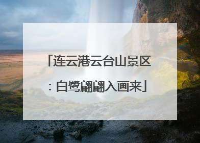 连云港云台山景区：白鹭翩翩入画来