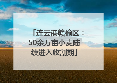 连云港赣榆区：50余万亩小麦陆续进入收割期