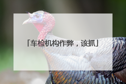 车检机构作弊，该抓