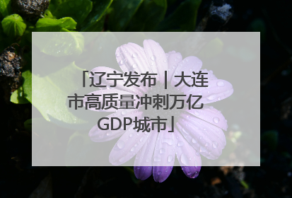 辽宁发布｜大连市高质量冲刺万亿GDP城市