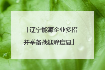 辽宁能源企业多措并举备战迎峰度夏