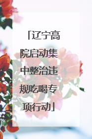 辽宁高院启动集中整治违规吃喝专项行动
