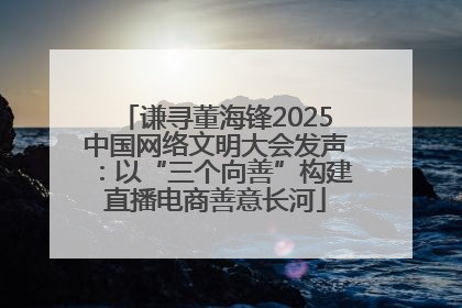 谦寻董海锋2025中国网络文明大会发声：以“三个向善”构建直播电商善意长河