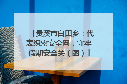 贵溪市白田乡：代表织密安全网，守牢假期安全关（图）