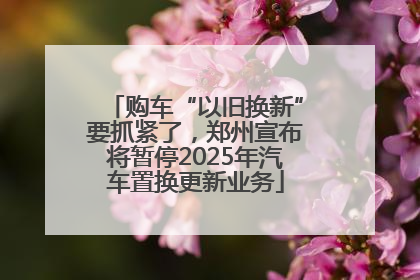 购车“以旧换新”要抓紧了，郑州宣布将暂停2025年汽车置换更新业务