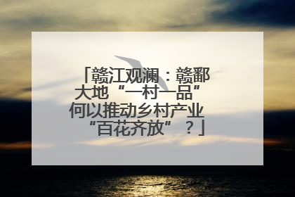 赣江观澜：赣鄱大地“一村一品”何以推动乡村产业“百花齐放”？