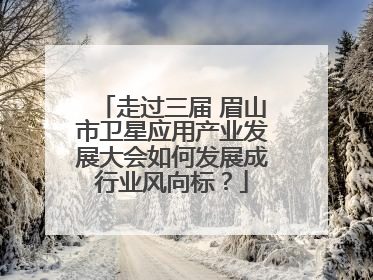 走过三届 眉山市卫星应用产业发展大会如何发展成行业风向标？