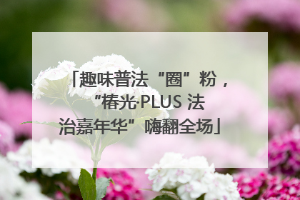 趣味普法“圈”粉，“椿光·PLUS 法治嘉年华”嗨翻全场