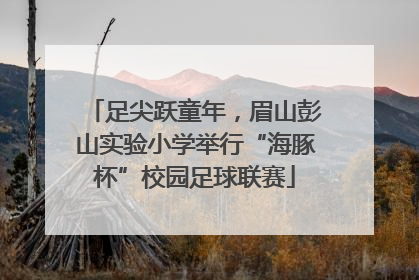 足尖跃童年，眉山彭山实验小学举行“海豚杯”校园足球联赛