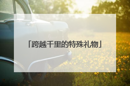 跨越千里的特殊礼物