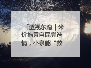 透视东瀛｜米价拖累自民党选情，小泉能“救”石破茂吗