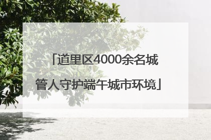 道里区4000余名城管人守护端午城市环境
